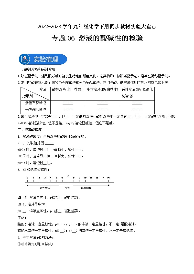 专题06溶液的酸碱性检验-2022-2023学年九年级化学下册教材实验大盘点（人教版）01