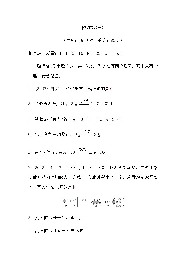 鲁教版中考化学复习限时练(三)含答案第1页