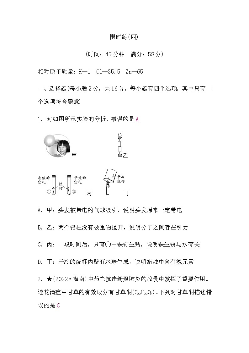 鲁教版中考化学复习限时练(四)含答案第1页