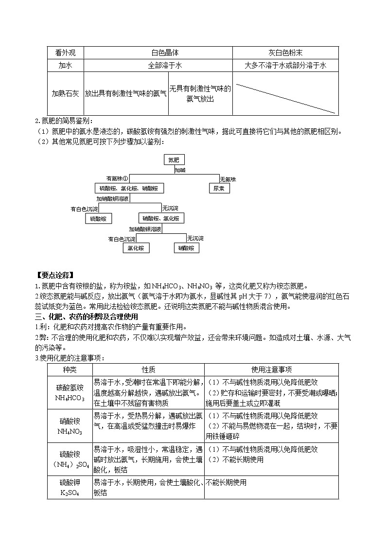课题2 化学肥料-九年级化学下册尖子生必备考点精讲精练（人教版）（解析版）第2页