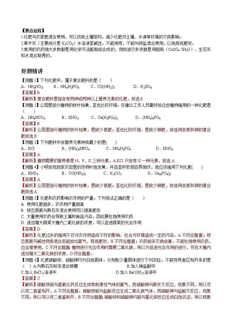课题2 化学肥料-九年级化学下册尖子生必备考点精讲精练（人教版）（解析版）第3页