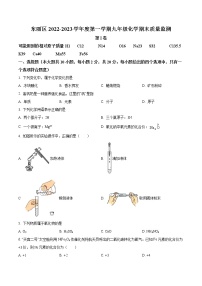 天津市东丽区2022-2023学年九年级上学期期末化学试题(含答案)