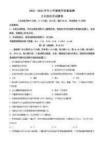 云南省玉溪市峨山县2022-2023 学年九年级上学期期末化学试题(含答案)