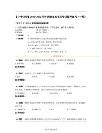 【中考化学】2022-2023学年天津市和平区专项提升复习（一模）含解析