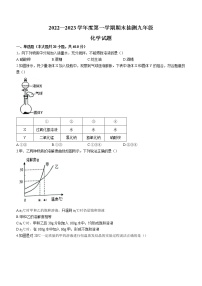 黑龙江省大庆市杜尔伯特蒙古族自治县2022-2023学年九年级上学期期末化学试题（含答案）