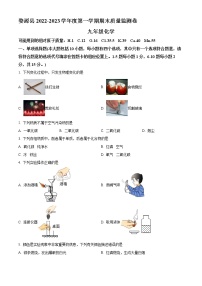 江西省上饶市婺源县2022-2023学年九年级上学期期末化学试题（含答案）