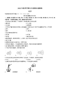 云南省昭通市巧家县2022-2023学年九年级上学期期末化学试题（含答案）