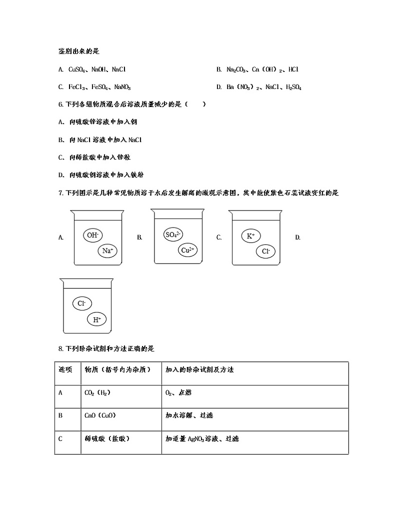 【中考化学】2023届第一轮复习分类专题—酸、碱和盐（基础篇）含解析第2页