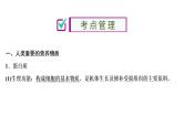 中考化学复习第12单元　化学与生活课件PPT