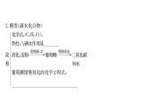 中考化学复习第12单元　化学与生活课件PPT