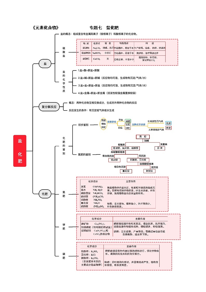 专题07 盐、化肥——2023年中考化学必背知识点梳理+思维导图01