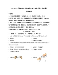 2022-2023学年山东省青岛市九年级上册化学期末专项提升模拟试题（无答案）