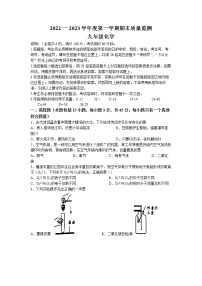 广东省揭阳市惠来县2022-2023学年度九年级上学期期末化学试题