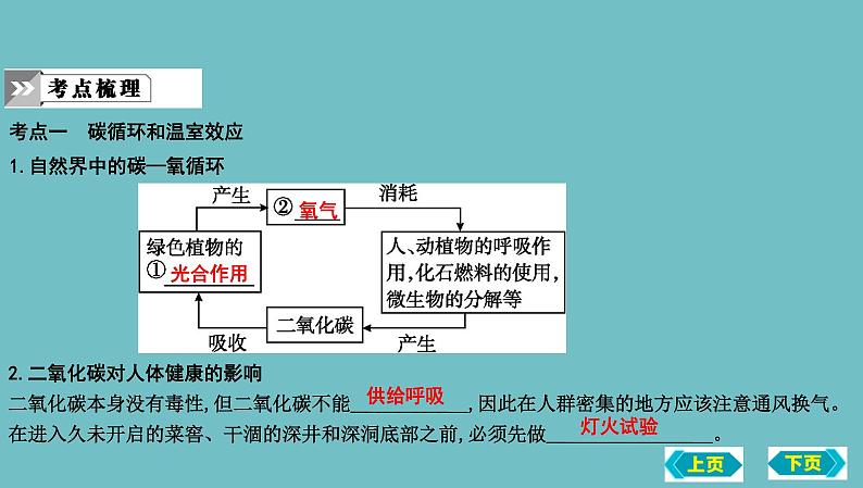 第三节　大自然中的二氧化碳复习课件 2022-2023学年九年级化学05