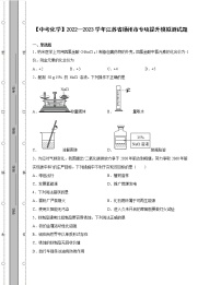 【中考化学】2022—2023学年江苏省扬州市专项提升模拟测试题（含解析）