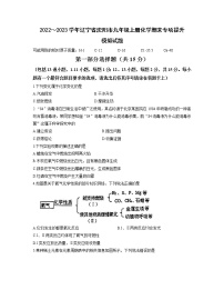 2022～2023学年辽宁省沈阳市九年级上册化学期末专项提升模拟试题（含答案）