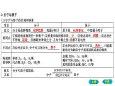 第一节　物质的构成及分类 复习课件 2022-2023学年八年级化学