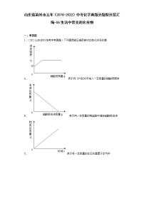 山东省滨州市五年（2018-2022）中考化学真题分题型分层汇编-06生活中常见的化合物