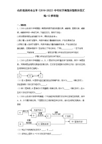 山东省滨州市五年（2018-2022）中考化学真题分题型分层汇编-12推断题