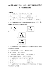 山东省青岛市五年（2018-2022）中考化学真题分题型分层汇编-04构成物质的微粒