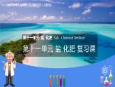 第11單元 鹽 化肥（復習課件）-九年級化學下冊同步教學課件+課時練（人教版）