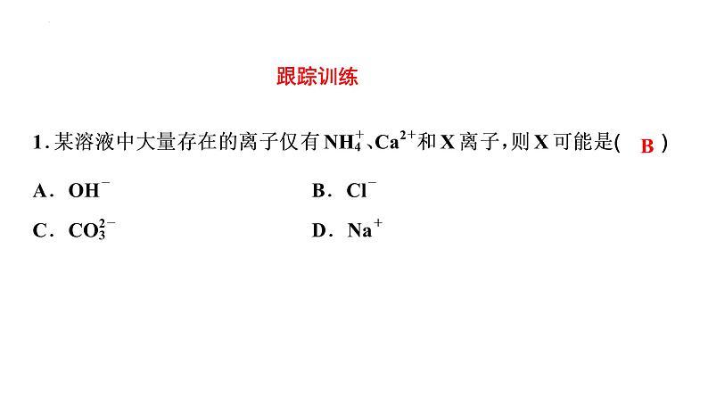 2023年中考化学二轮复习考点专题突破 物质的共存课件第6页