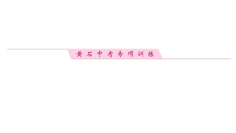 2023年中考二轮复习专题四　微观模型图课件PPT04