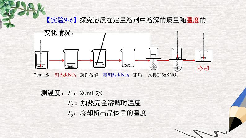 第八单元金属和金属材料实验活动4金属的物理性质和某些化学性质习题课件PPT05