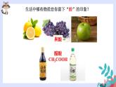 10.1常见的酸和碱（第1课时）课件