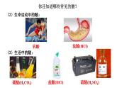 10.1常见的酸和碱（第1课时）课件