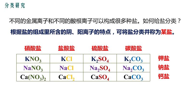 11.1生活中常见的盐第1课时课件05