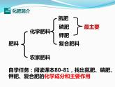 12.2化学肥料课件