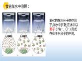 9.1溶液的形成课件