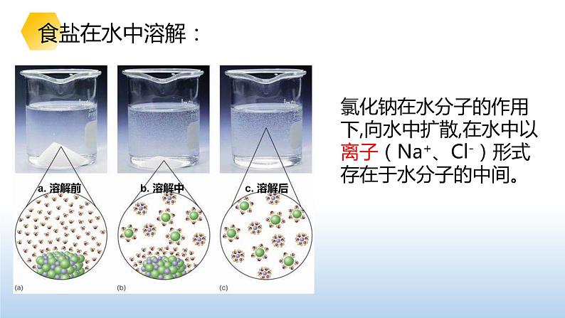 9.1溶液的形成课件第4页