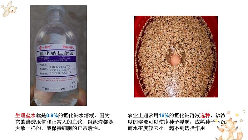 第九单元实验活动5一定溶质质量分数的氯化钠溶液的配制课件PPT第2页