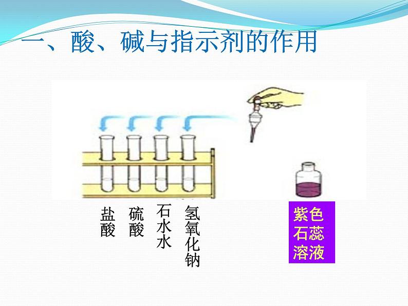 10.1常见的酸和碱课件第4页