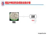 第十一單元實驗活動8粗鹽提純課件PPT