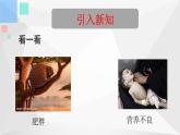 12.1人类重要的营养物质课件