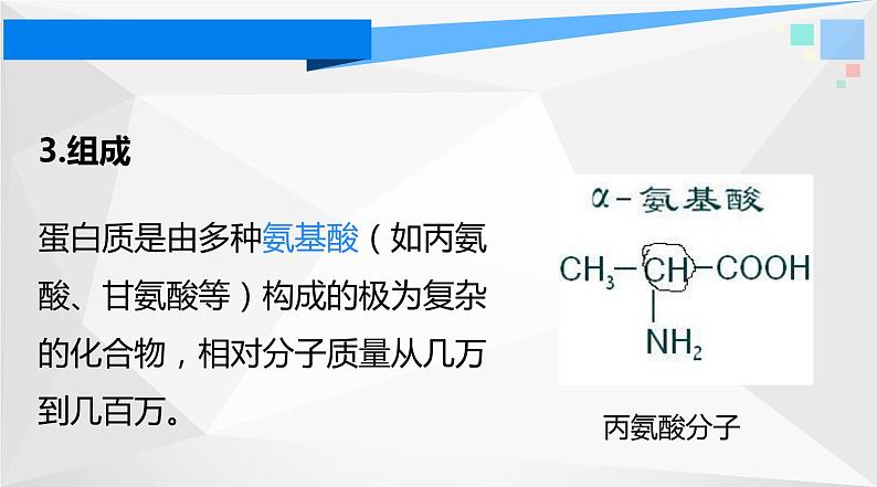 12.1人类重要的营养物质课件08