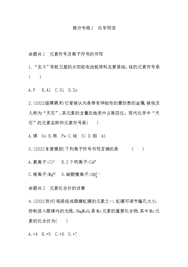 2023年中考化学鲁教版（五四学制）一轮提分专练一 化学用语第1页