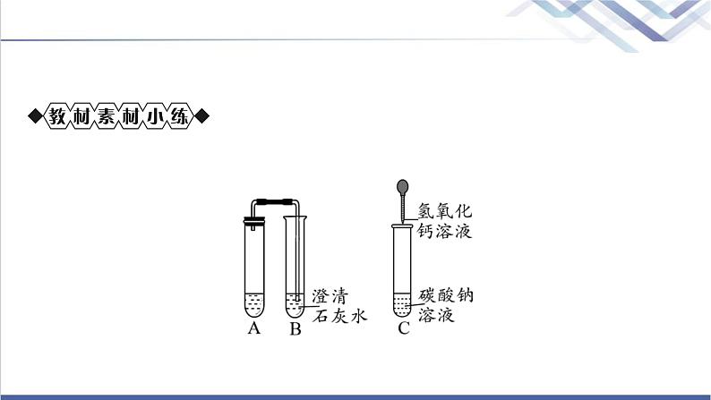 中考化学复习身边的化学物质主题七盐化肥教学课件第7页