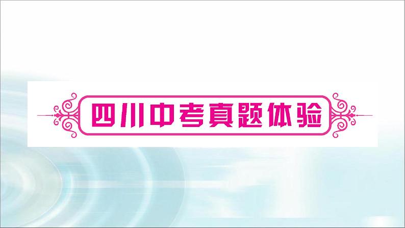 中考化学复习主题十化学式与化合价练习课件第2页