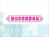 中考化学复习主题十七实验方案的设计与评价练习课件