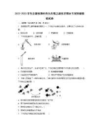 2022-2023学年安徽省滁州市九年级上册化学期末专项突破模拟试卷（含解析）