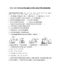 2022-2023学年北京市东城区九年级上册化学期末模拟试题（含解析）