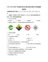 2022-2023学年广东省阳江市九年级上册化学期末专项突破模拟试卷（含解析）