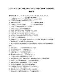 2022-2023学年广西省钦州市九年级上册化学期末专项突破模拟试卷（含解析）