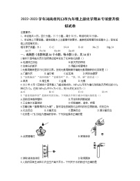 2022-2023学年河南省周口市九年级上册化学期末专项提升模拟试卷（含解析）