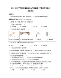 2022-2023学年湖南省娄底市九年级上册化学期末专项提升仿真试卷（含解析）