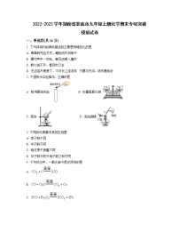 2022-2023学年湖南省娄底市九年级上册化学期末专项突破模拟试卷（含解析）